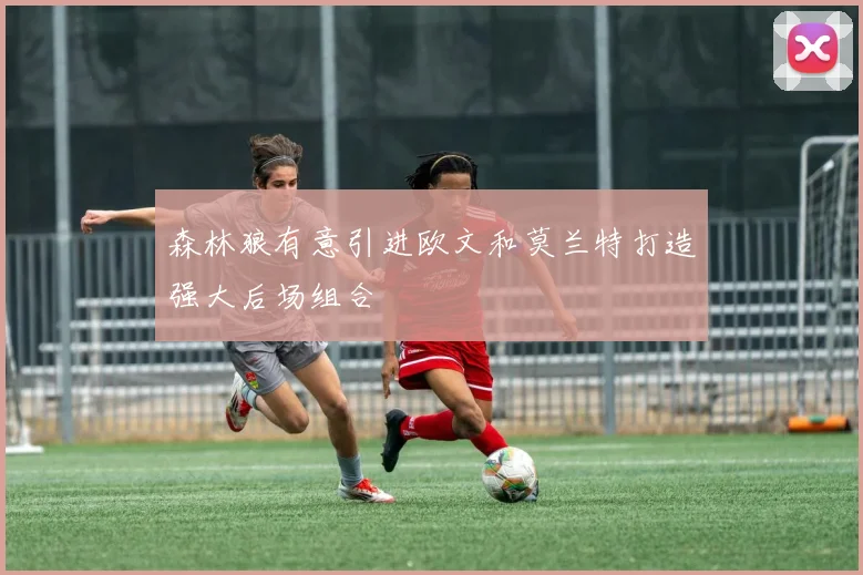森林狼有意引进欧文和莫兰特打造强大后场组合
