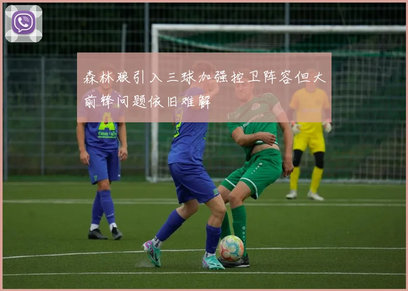 森林狼引入三球加强控卫阵容但大前锋问题依旧难解